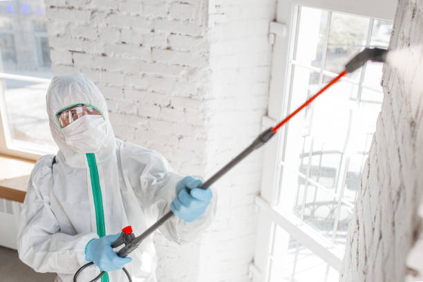 Dehumidification Services in Santee, SC