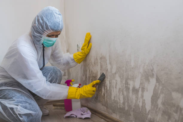 Best Forensic Mold Investigation  in Santee, SC