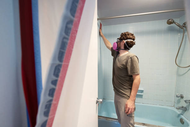 Best Asbestos and Lead Testing During Mold Inspection  in Santee, SC