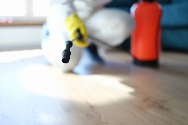 Professional Mold Removal in Santee, SC