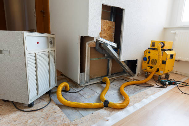 Best Mold Odor Removal Services  in Santee, SC